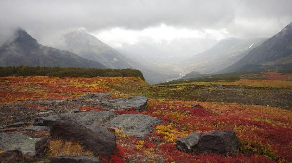 Артисты Камчатки приняли участие во всероссийской хоровой акции «Надежда»