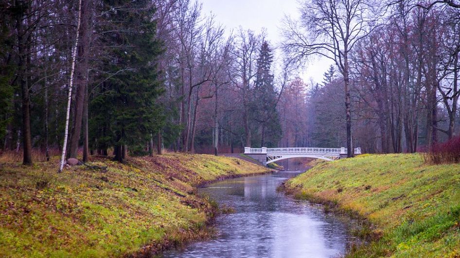 Отреставрирован мост в Александровском парке