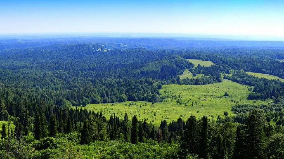 На Уральской триеннале покажут свои работы мастера прикладного искусства