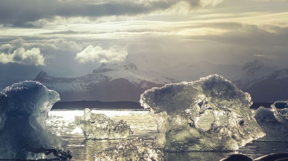 Кто выступит на концерте в защиту Антарктики