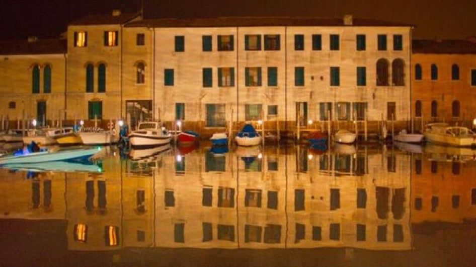  Экологический кинофестиваль «Форма жизни» пройдет в Перми