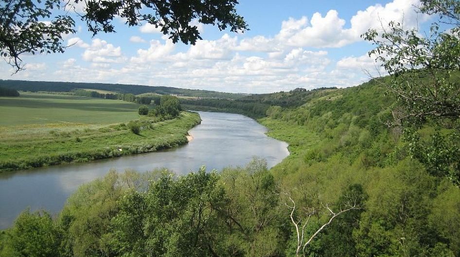 Липчане смогут познакомиться с «Джазовой живописью» Канищева