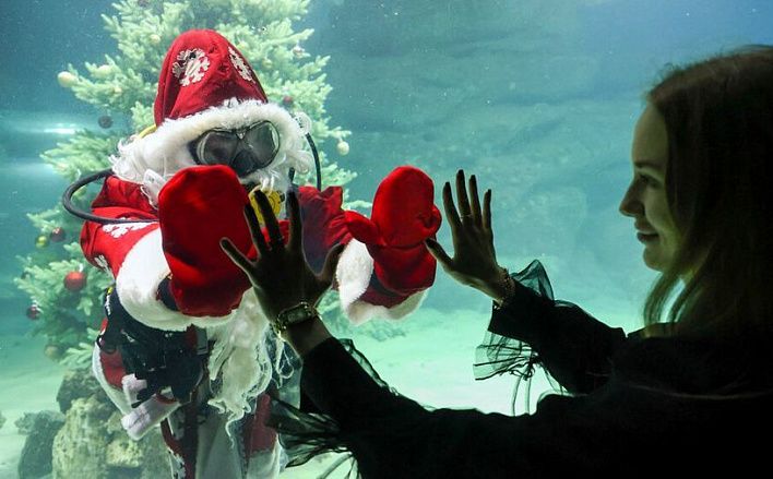 И вот она, нарядная: 10 самых ярких елок Москвы