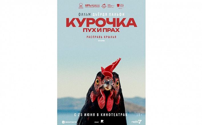 Мастер-класс куриной жизни: о чем фильм Дьердя Пальфи «Курочка. Пух и прах»